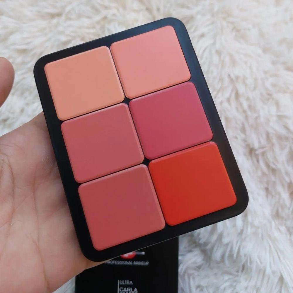 12 In 1 Blush Kit