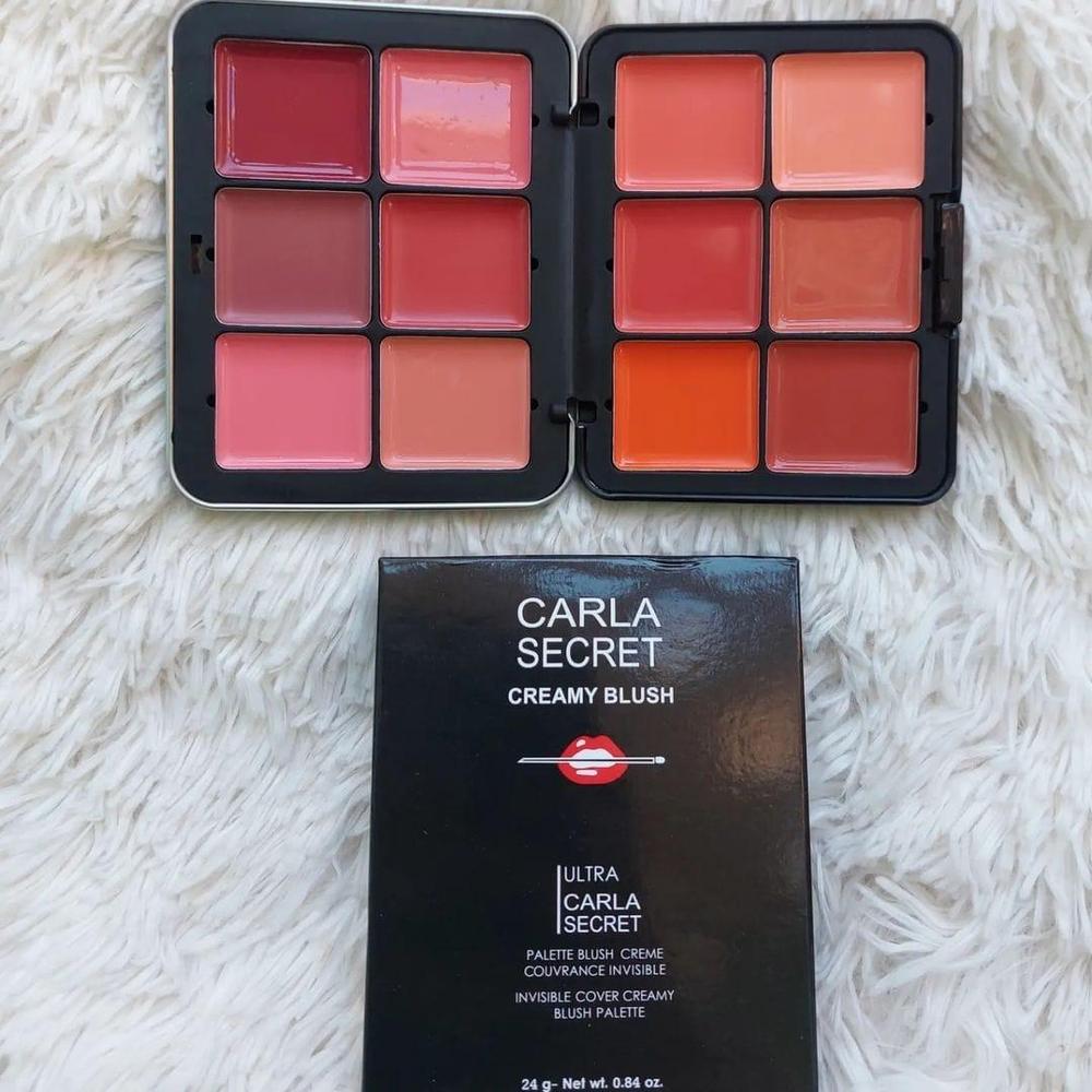 12 In 1 Blush Kit