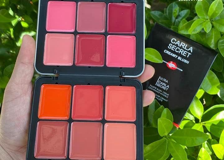 12 In 1 Blush Kit